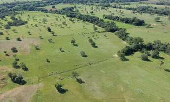 Imagem 3: FAZENDA 3.5 ALQUEIRES REGIAO JARAGUA/RIANAPOLIS