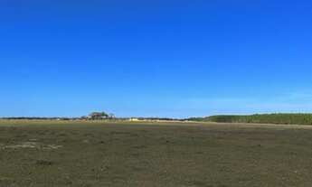 Imagem 6: Vendo Imóvel Rural com 162,5ha em Tavares/RS na Localidade de Capão Comprido