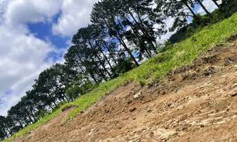 Imagem 7: M17- lotes com escritura