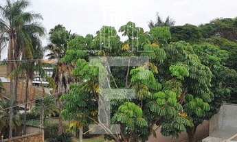 Imagem 2: Casa - Parque Taquaral - Campinas