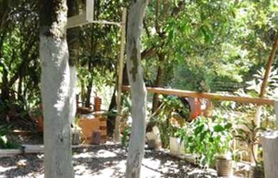 Imagem 5: Lindo sítio c/chalé em condomínio fechado, as margens da RS040