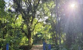 Imagem 5: SÍTIO ST00077 Fazenda / sítio com venda por R$440.000