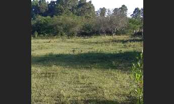 Imagem 6: Linda chácara 3hectares em localização privilegiada