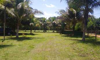 Imagem 2: Chácara para venda em Sao Francisco (PA