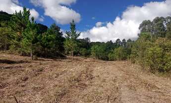 Imagem 5: Sítio de 2 hectares na Colônia Maciel