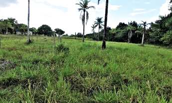 Imagem: Sítio de 23 Tarefas