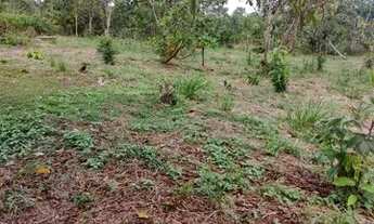 Imagem 2: Lotes 15x71 $45,000