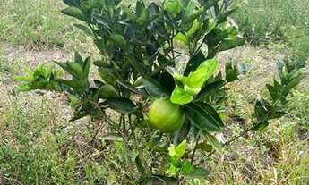 Imagem 6: Terreno no residencial Florença