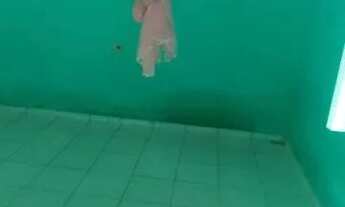 Imagem 2: Vendo casa Casa com 2 dormitórios