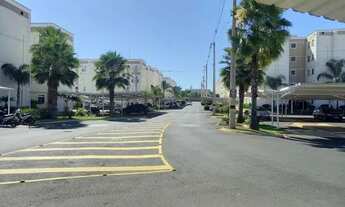 Imagem 3: Alugo Apartamento