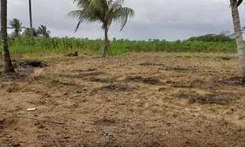 Imagem 2: Vende-se sítio Chácara com venda por R$135.000