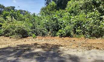 Imagem 7: Chácaras Rio Negro - Tranferência de lote com 1000m²