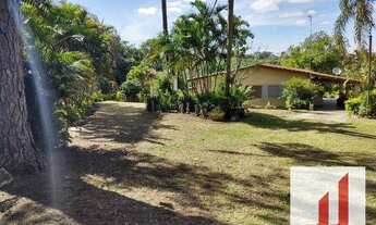 Imagem 5: CHACRA DENTRO DA CIDADE