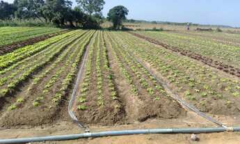 Imagem: Terreno a Venda
