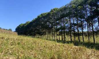 Imagem 3: Lote/Terreno para venda tem 500 metros quadrados em Centro - Atibaia - SP