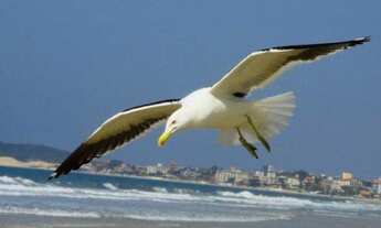 Imagem 4: Hostel Mensal Bairro Ingleses Floripa. Tudo Incluso!