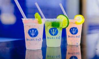 Imagem: Aluguel Aqualand