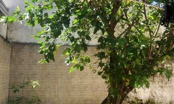 Imagem 4: Casa de condomínio para aluguel tem 110 metros quadrados com 3 quartos