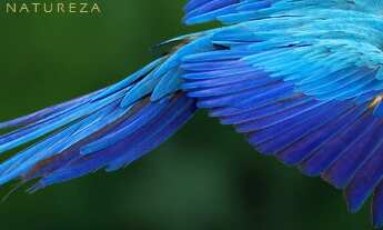 Imagem 3: Condomínio Quinta das Araras em Hidrolândia