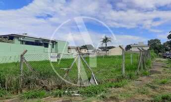 Imagem: Terreno - Nova Campinas - Campinas