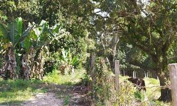 Imagem 2: Área a venda na Zona Leste com 10.000m2