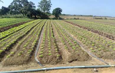 Imagem 2: Terreno a Venda Terreno / lote com venda por R$43.000