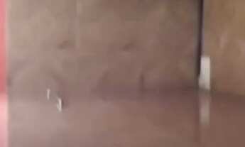 Imagem 7: Vendo ou troco Casa com 2 dormitórios