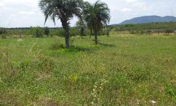 Imagem: Lote 1.000m2