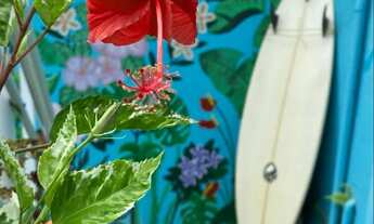 Imagem 2: Chalés próximo à Praia Maranduba