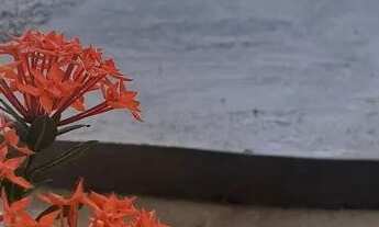Imagem 3: CASA COM PISCINA PRAIA PONTA NEGRA - LOCAÇÕES TEMPORÁRIAS