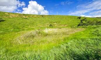 Imagem 4: Terreno Rural com 4 Alqueires à Venda em Anchieta/ES - Ideal para Pecuária, Agricultura ou
