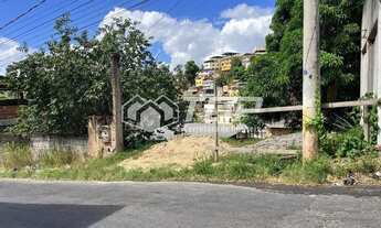 Imagem 3: Lote à Venda no Bairro Nossa Senhora de Fátima com 281 m²