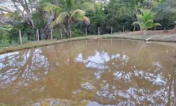 Imagem 5: Chácara Formada pra Pecuária ITAGUARI