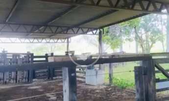 Imagem 4: FAZENDA de 36.1 ALQUEIRES MUNICÍPIO DE SÃO MIGUEL DE PASSA QUATRO codigo: 94549