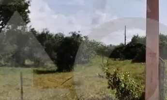 Imagem 7: Terreno na Zona de expansão, no bairro Mosqueiro