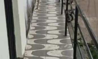 Imagem 2: Alugar kitnet Casa com 1 dormitório