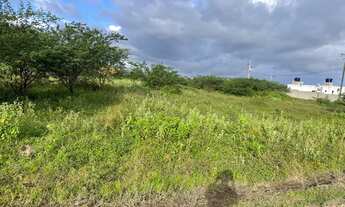 Imagem 5: Mini Sítio Haras Recanto