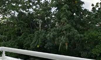 Imagem: ESSE VAI TE SURPREENDER!