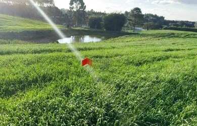 Imagem 6: Chácara com 114.345m² , à venda, no bairro Colônia Murici em São José dos Pinhais