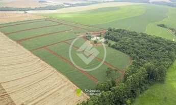 Imagem 2: CONDOMINIO VIVENDAS DO BOSQUE codigo: 112761