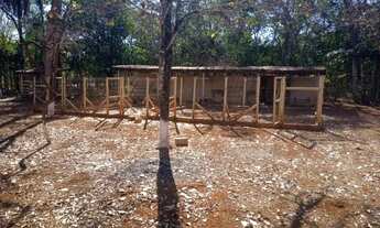 Imagem 2: Sitio 20.00m²,casa,sauna,piscina,quadra de areia,poço de peixe,curral,quartinho ferramenta