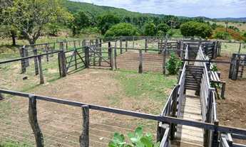 Imagem 3: Vendo sítio na região de Goiás velho preço muito bom
