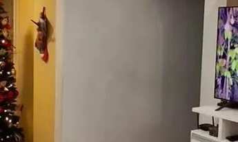 Imagem 3: 170 - Excelente apartamento no Boaçu São Gonçalo