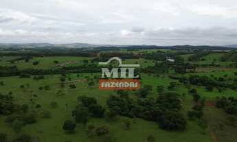 Imagem 7: Chácara 2 alqueires e 4 litros (9,7 hectares) Cezarina - Go