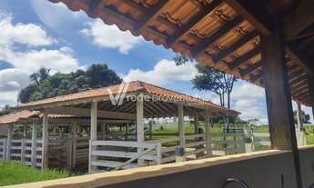 Imagem 6: Casa - Centro - Meridiano