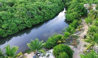 Imagem 6: Lote à venda em rua pública, PORTO DE SAUIPE, Entre Rios, BA