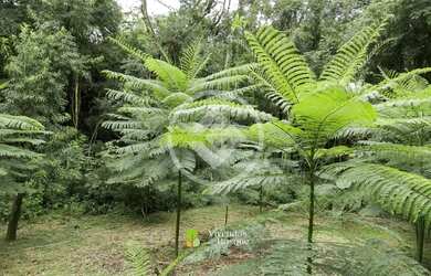 Imagem 15: CONDOMINIO VIVENDAS DO BOSQUE codigo: 112761