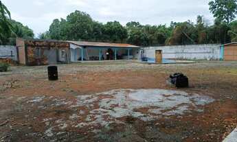 Imagem 4: Terre na reserva do Itapiraco