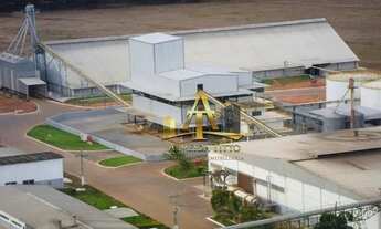 Imagem 7: Fazenda à Venda - Nova Mutum/MT