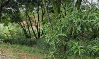 Imagem: Chácara - Jardim Califórnia